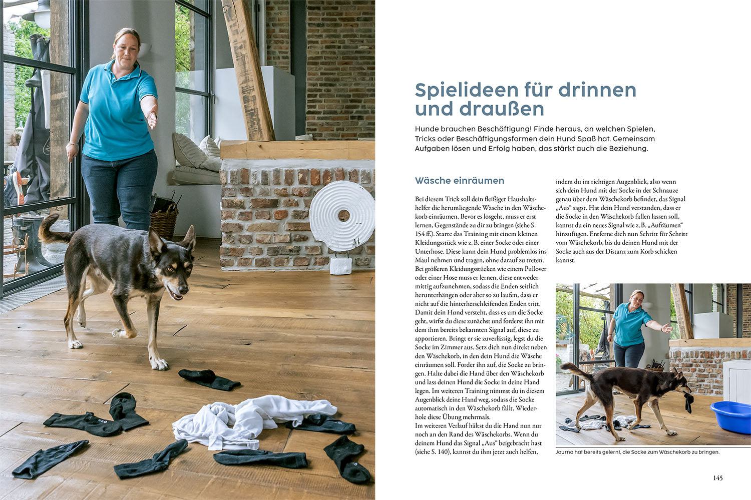 kosmos-hundetraining-mit-martin-r-tter-hunde-ratgeber-buch image 6