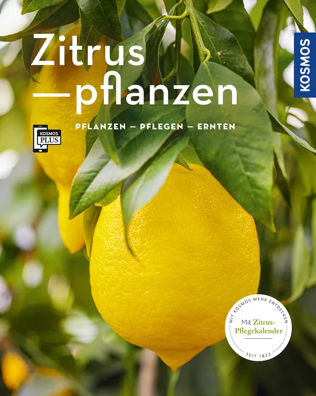 kosmos-zitruspflanzen-buch-mein-garten-pflege-sorten image 1