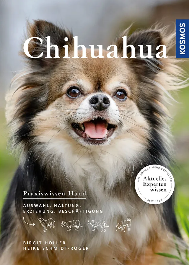 kosmos-chihuahua-e-book-kleinhund-haltung-erziehung image 1