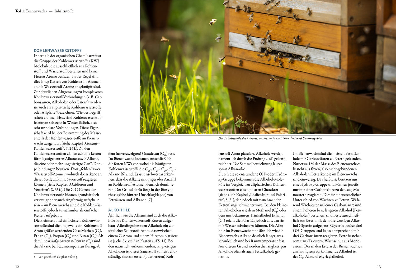adventure-games-b-cher-bienenwachs-und-wachskreislauf-ratgeber-imker image 3