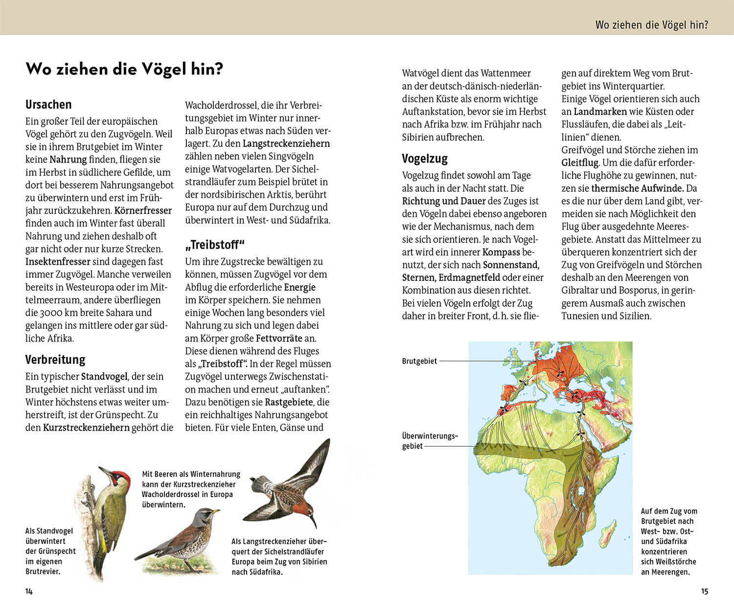 kosmos-welcher-vogel-ist-das-vogelbuch-mit-350-arten image 4