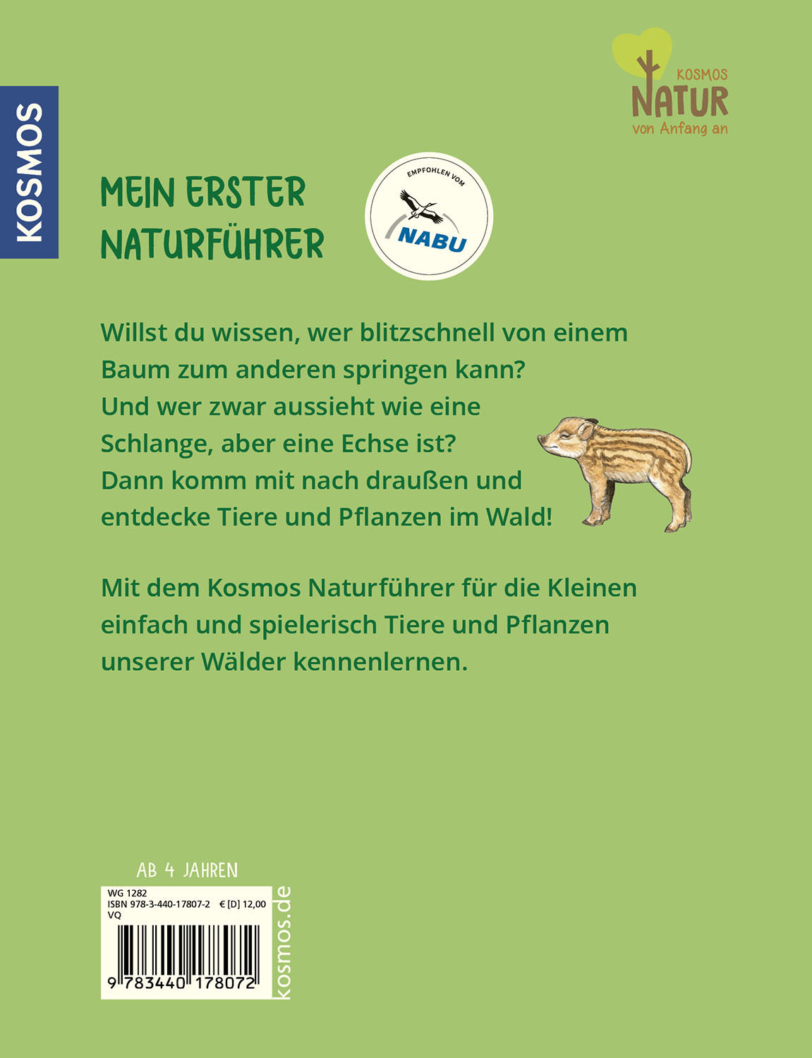 kosmos-mein-erster-naturf-hrer-was-lebt-im-wald-ab-4-jahren image 2