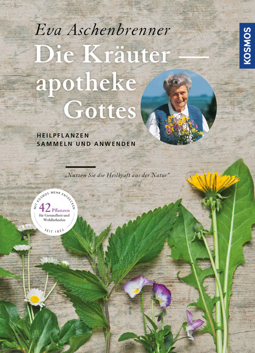 eva-aschenbrenner-die-kr-uterapotheke-gottes-heilkr-uter-ratgeber image 1