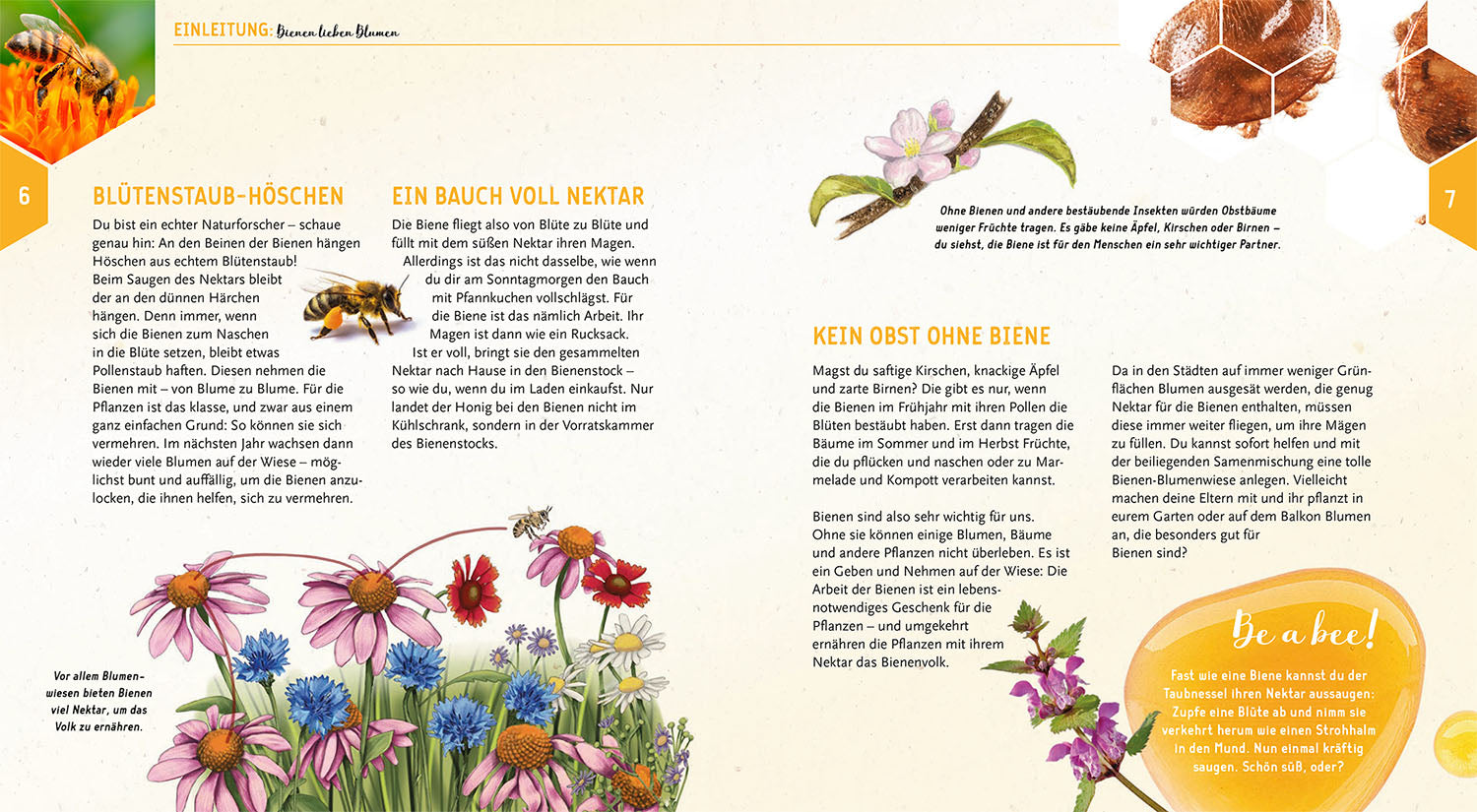 kosmos-ein-jahr-mit-den-bienen-ratgeber-mit-samen image 3