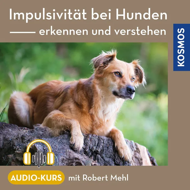 kosmos-impulsivit-t-bei-hunden-online-kurs-impulskontrolle image 1
