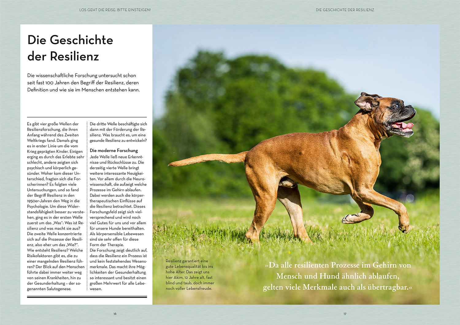 kosmos-resilienz-bei-hunden-vanessa-engelst-dter-ratgeber-buch image 3