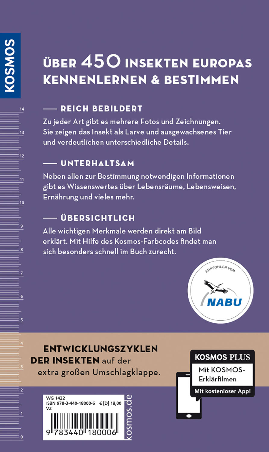 kosmos-welches-insekt-ist-das-insektenf-hrer-ratgeber image 2