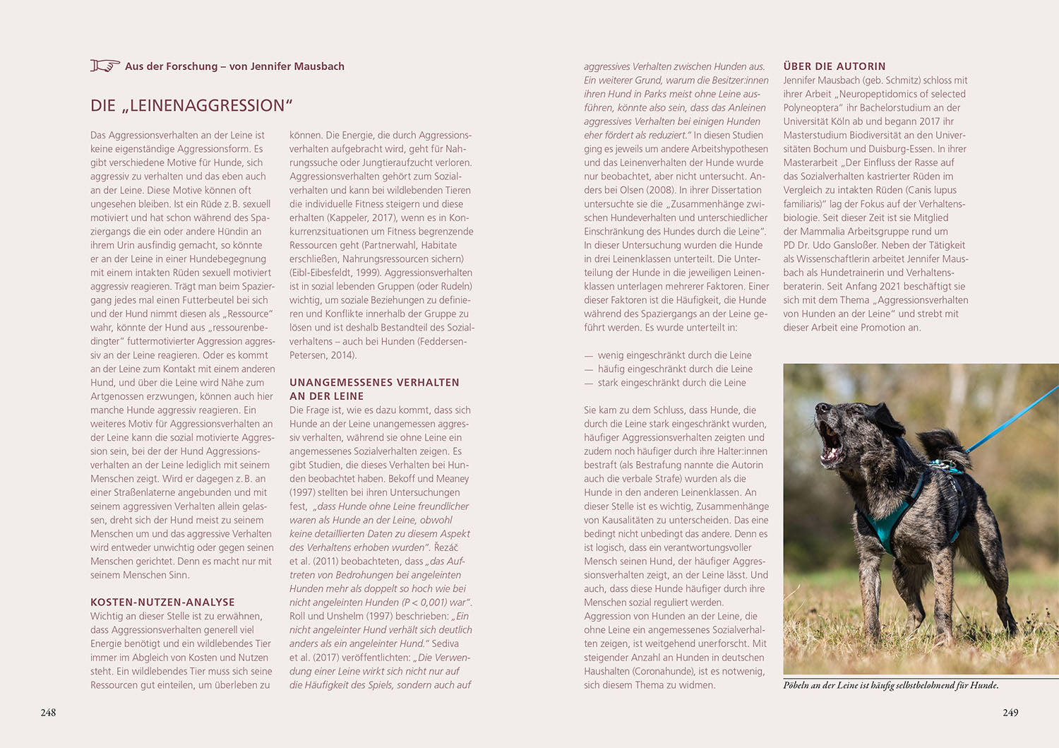 beziehung-erziehung-bindung-hundebuch-mensch-hund-ratgeber image 5