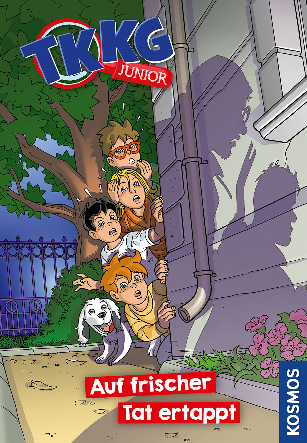tkkg-junior-auf-frischer-tat-ertappt-kinderbuch-einbrecher-fall image 1