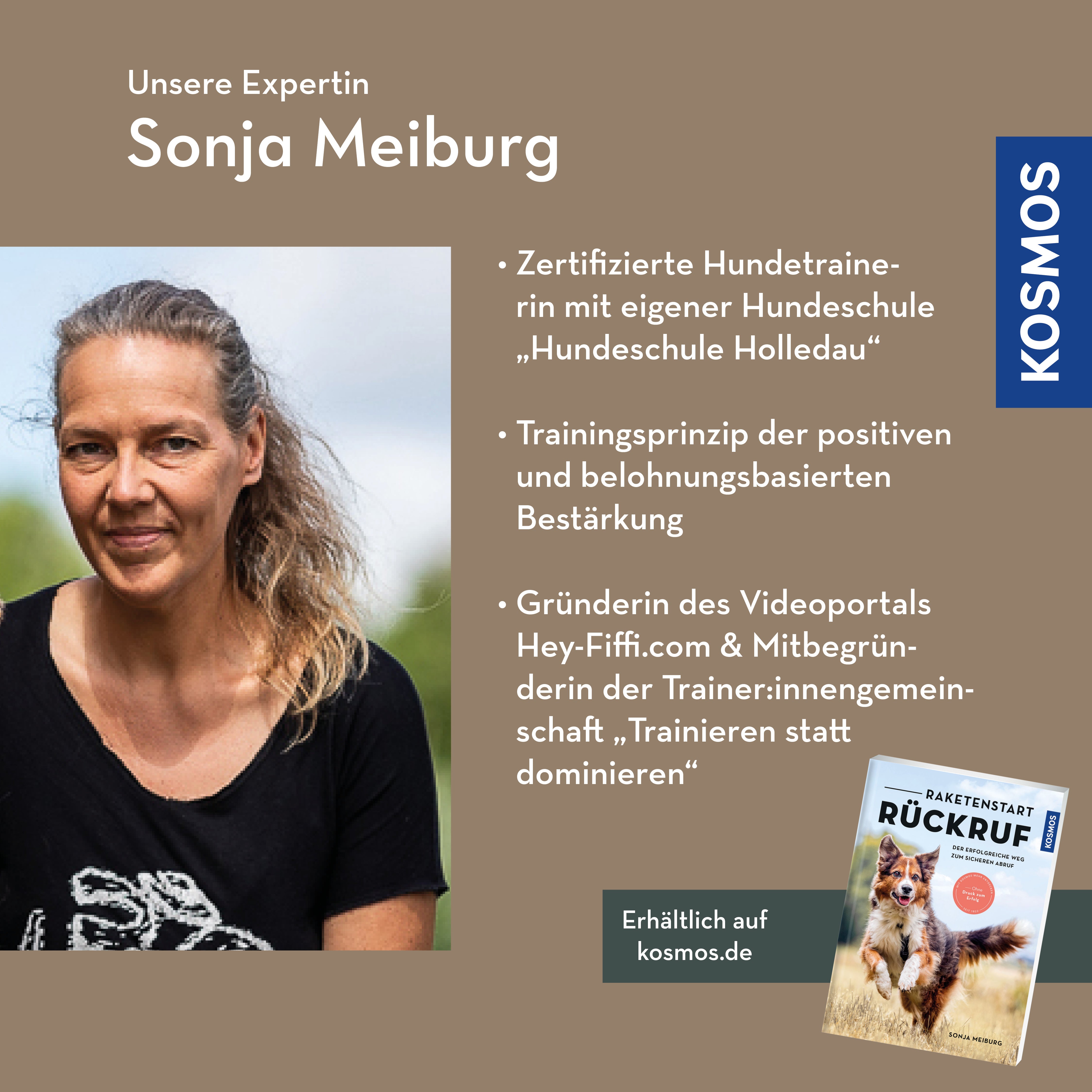 r-ckruf-h-ufige-fehler-webinar-live-webinar-hundetraining image 2
