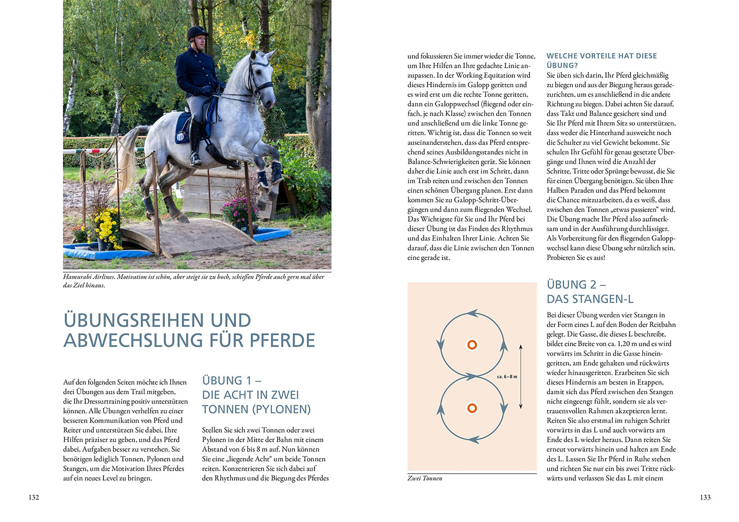 kosmos-das-spiel-mit-der-energie-buch-pferd-energieniveaus image 6