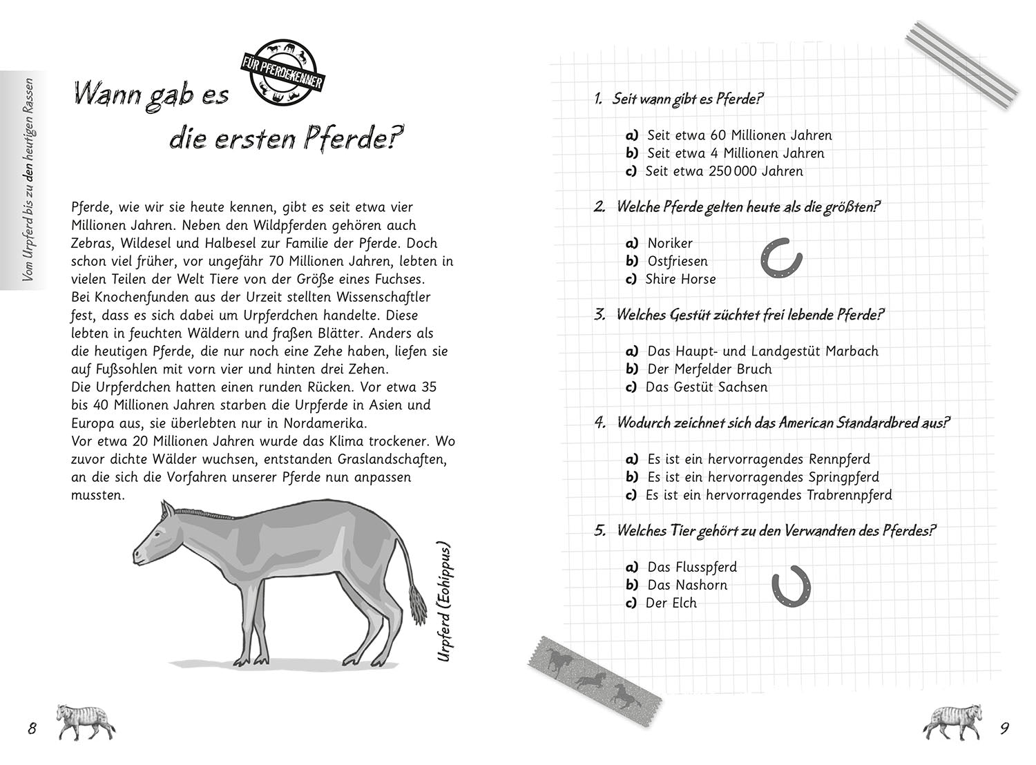 kosmos-mein-pferdequiz-quizbuch-pferderassen-anatomie image 3