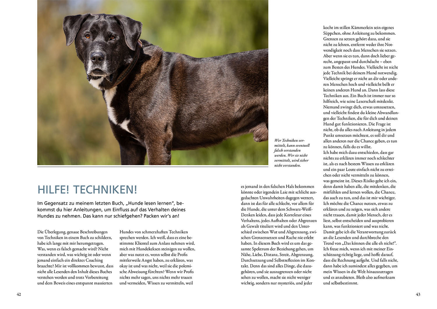 kosmos-hunde-f-hlen-und-anleiten-buch-maren-grote-kontakt image 3