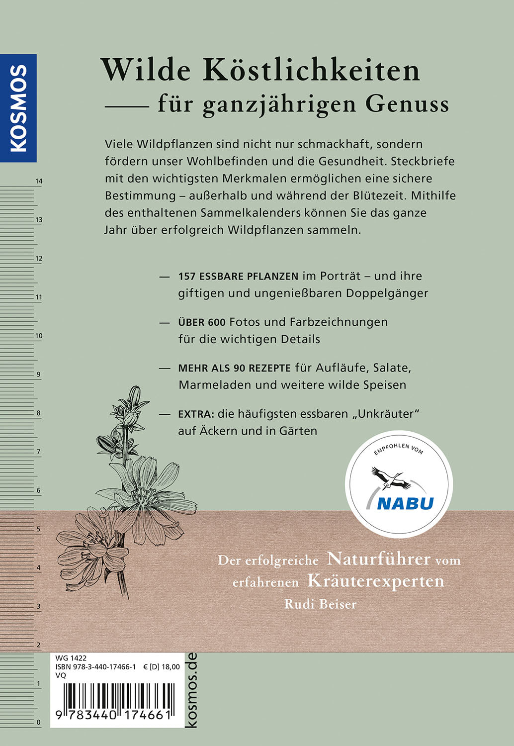 kosmos-unsere-essbaren-wildpflanzen-buch-bestimmen-sammeln image 2