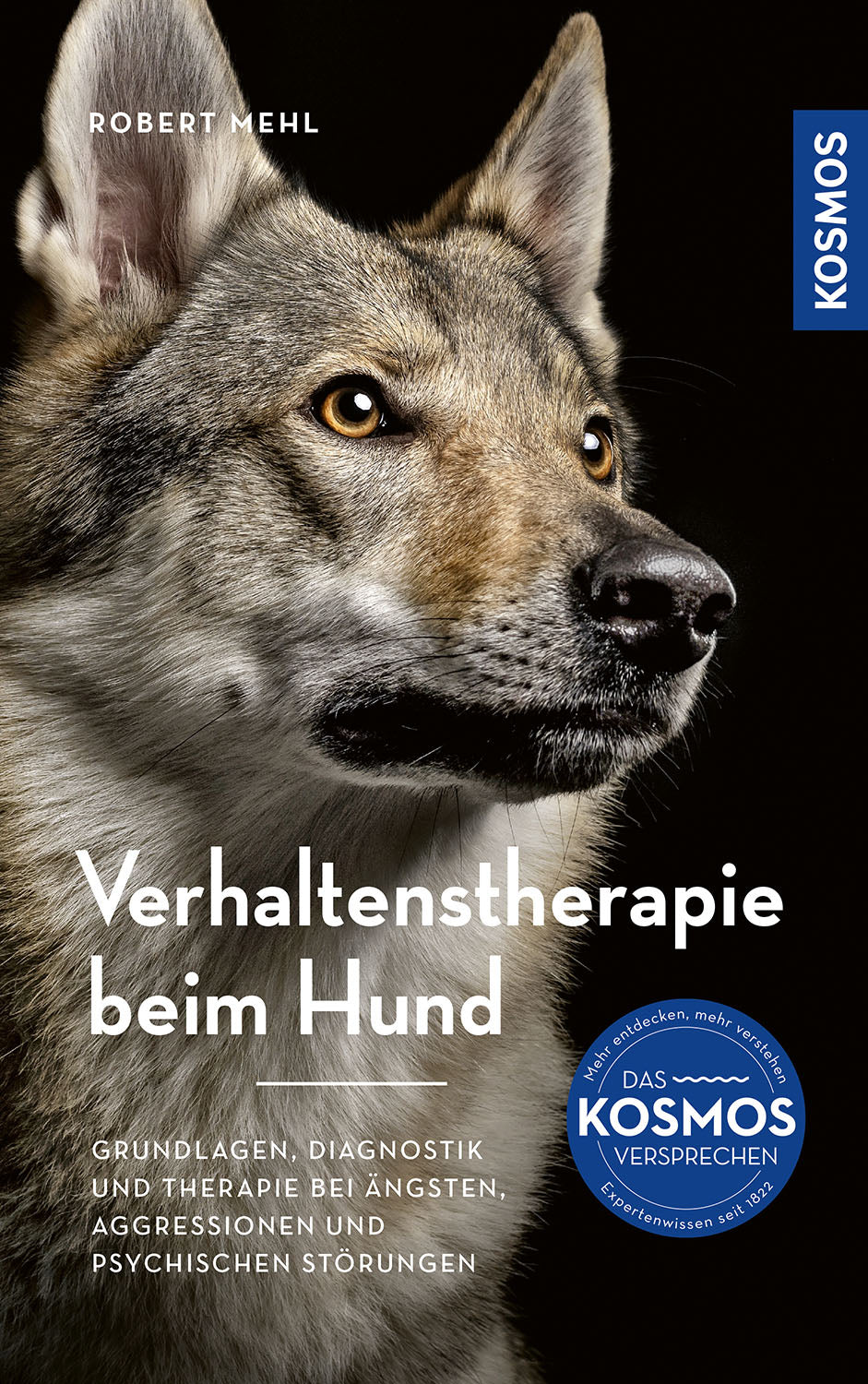 adventure-games-digital-verhaltenstherapie-beim-hund-ebook-ratgeber image 1