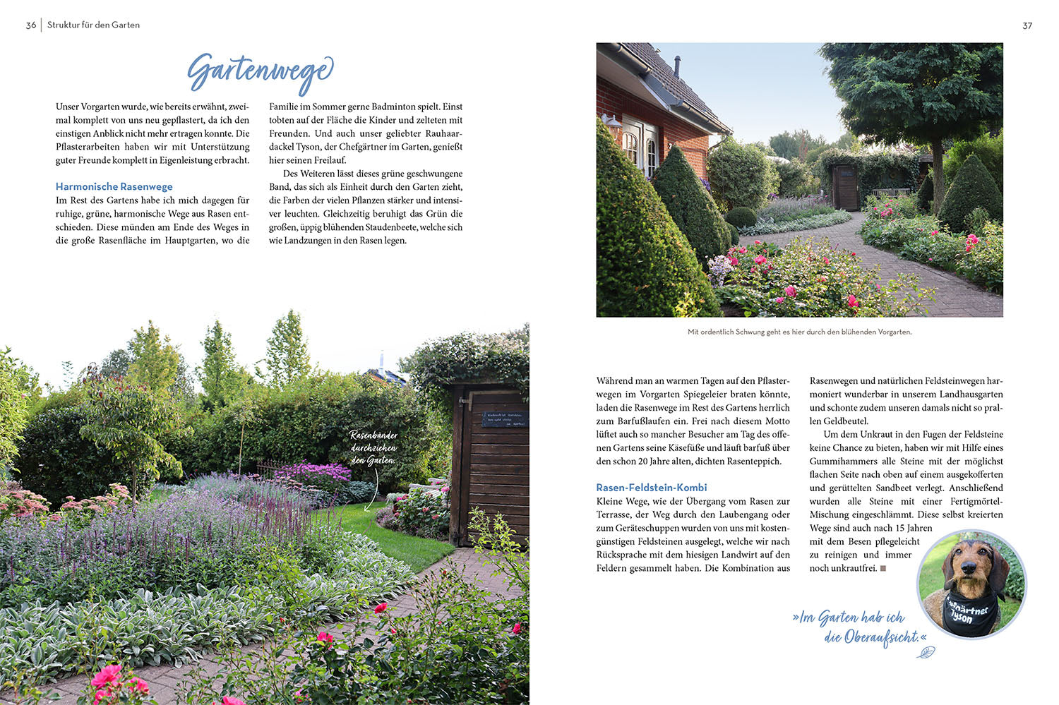 kosmos-klotzen-statt-kleckern-gartenbuch-gartentraum image 4