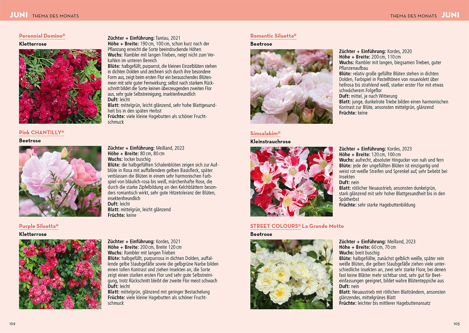 kosmos-gartenjahr-2025-gartenbuch-jahrbuch-mulchen image 5