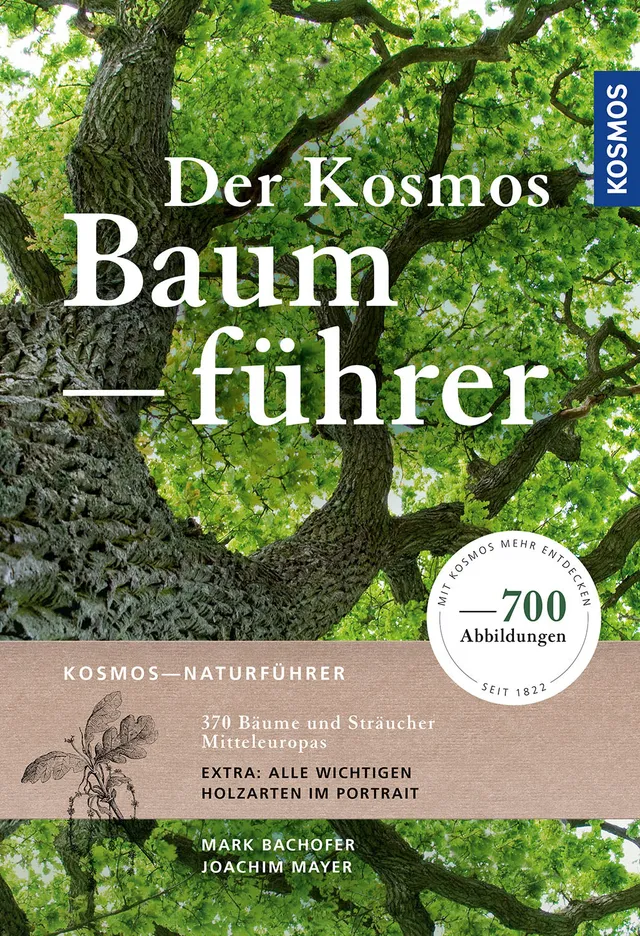 der-kosmos-baumf-hrer-b-ume-bestimmen-300-arten-e-book image 1