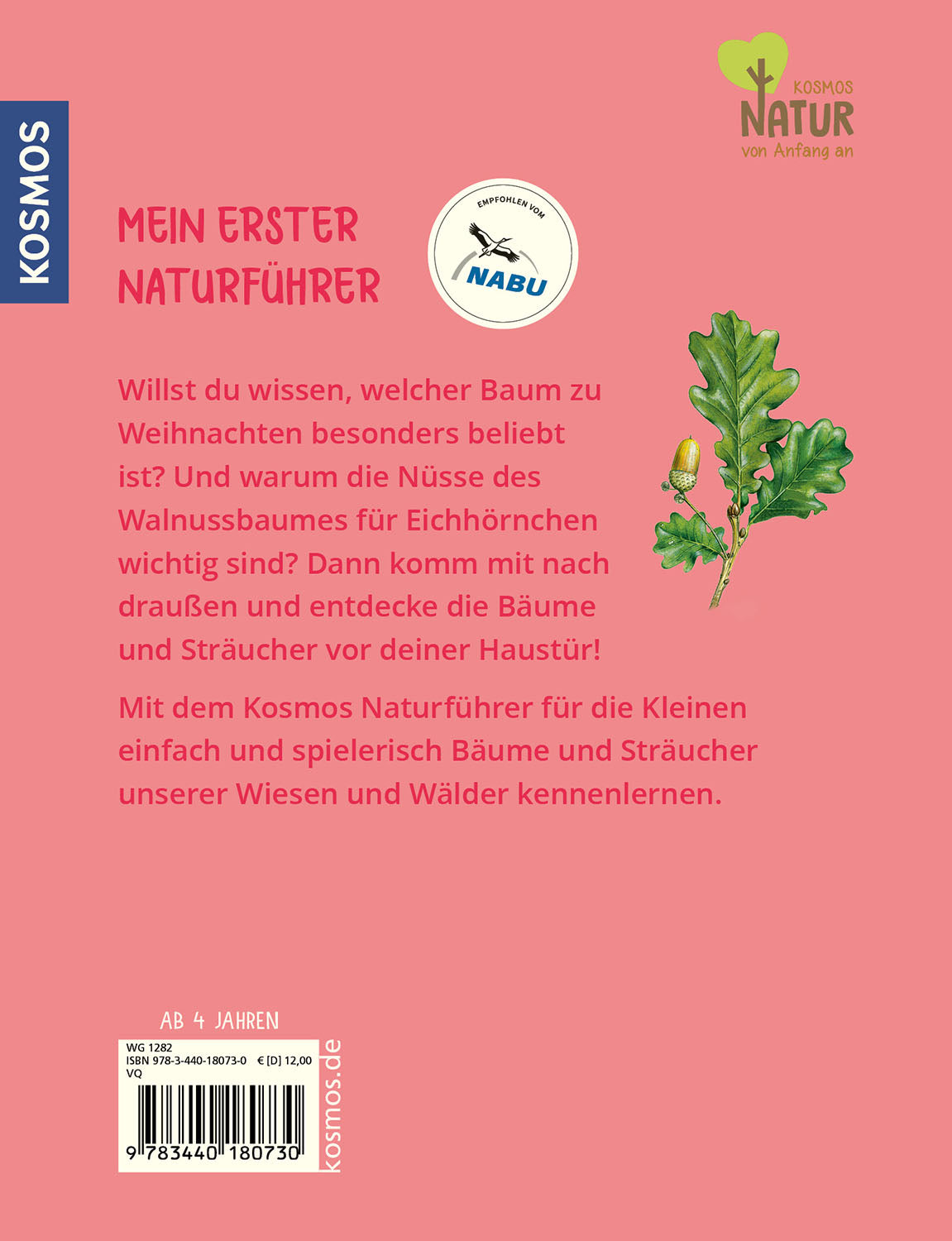 kosmos-mein-erster-naturf-hrer-welcher-baum-ist-das-kinderbuch-ab-4 image 2