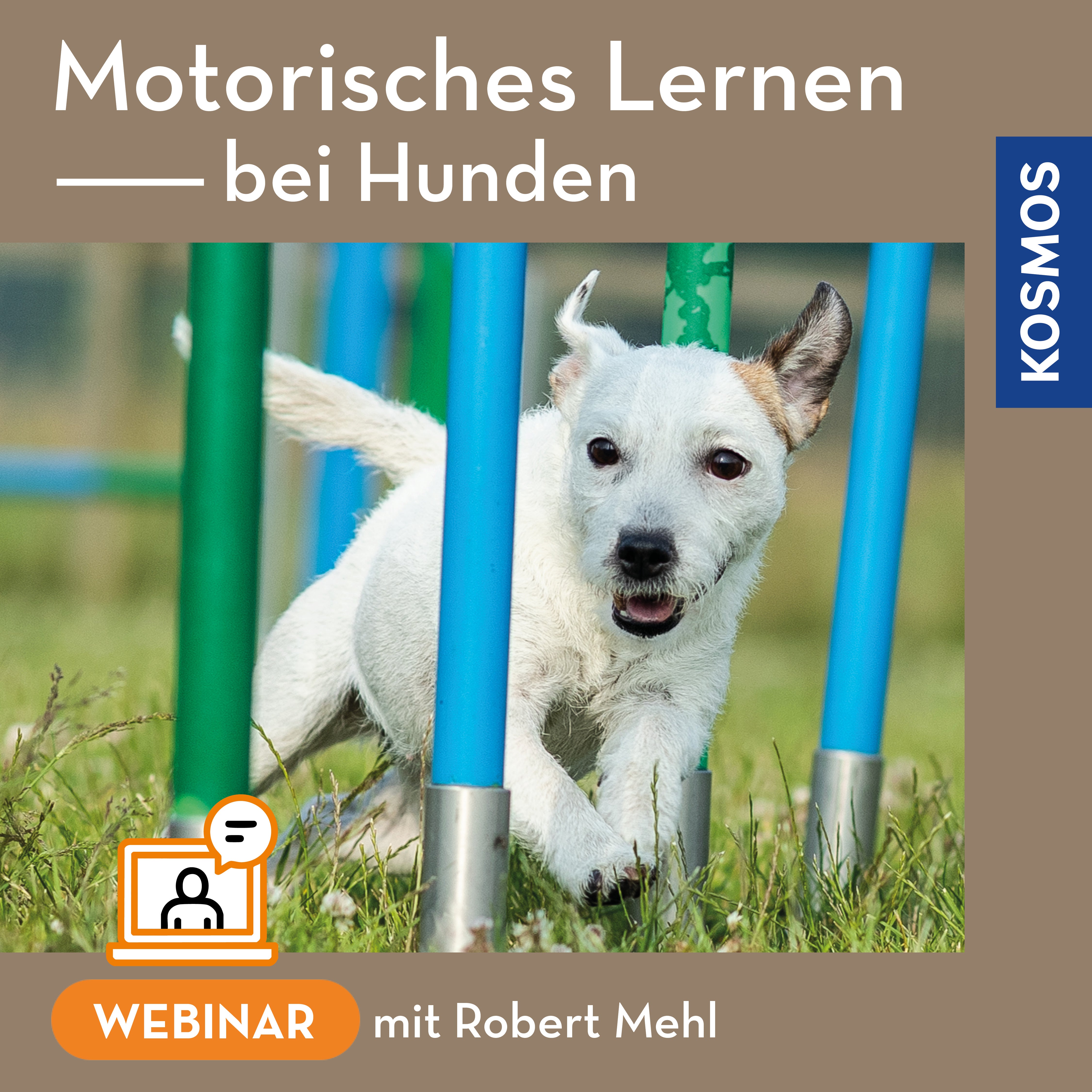 kosmos-motorisches-lernen-bei-hunden-webinar-live-webinar image 1