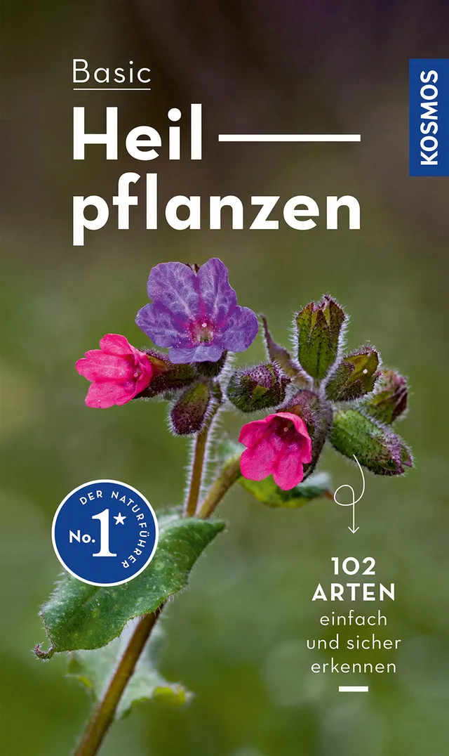 basic-heilpflanzen-naturf-hrer-100-heilkr-uter-buch image 1
