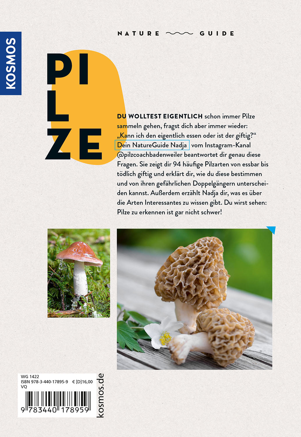 kosmos-nature-guide-pilze-pilzf-hrer-bestimmen image 2