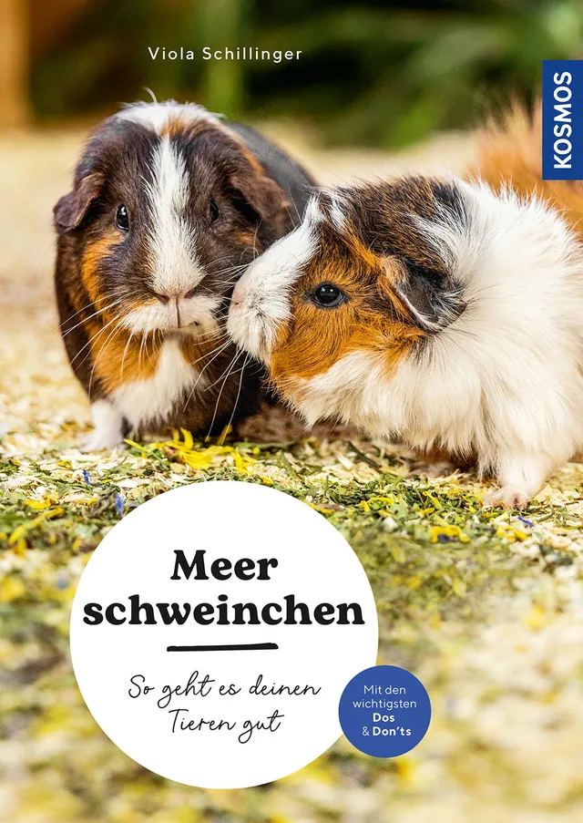adventure-games-b-cher-meerschweinchen-ratgeber-ersthalter image 1