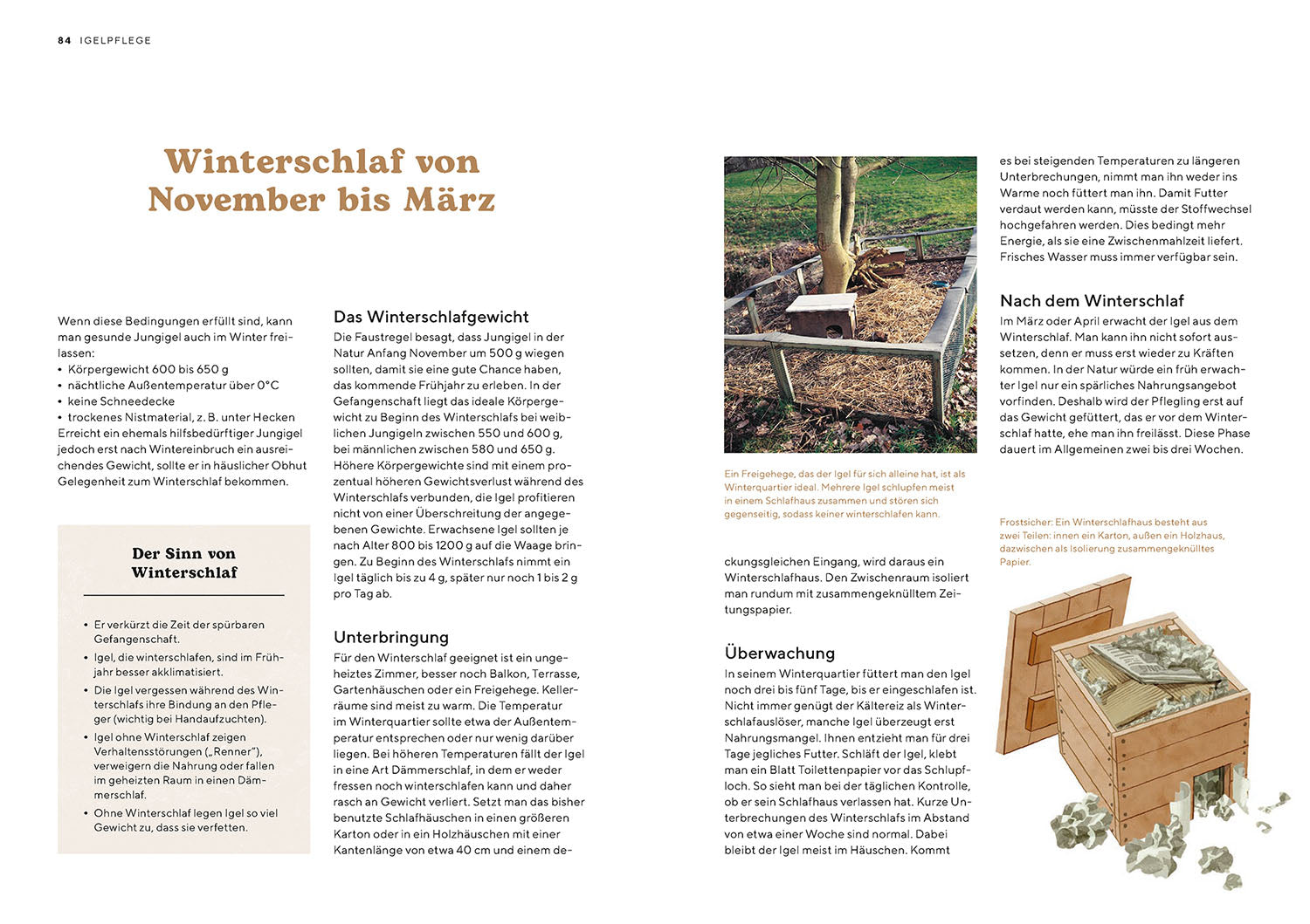 kosmos-igel-im-garten-ratgeber-neumeier-lebensraum-diy-hilfe image 6