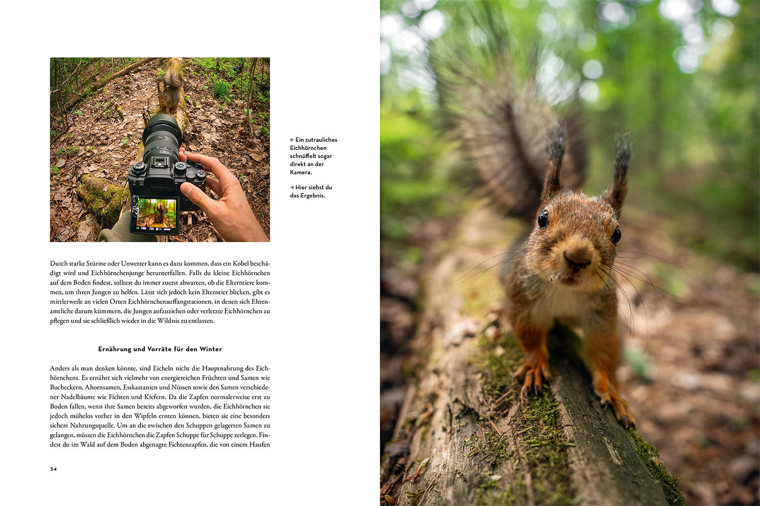 kosmos-moments-in-nature-buch-naturbildband-bestseller image 4
