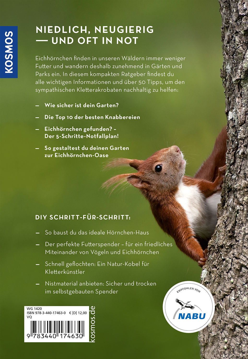 kosmos-mach-was-f-r-eichh-rnchen-naturbuch-garten-nothilfe-jungtiere image 2