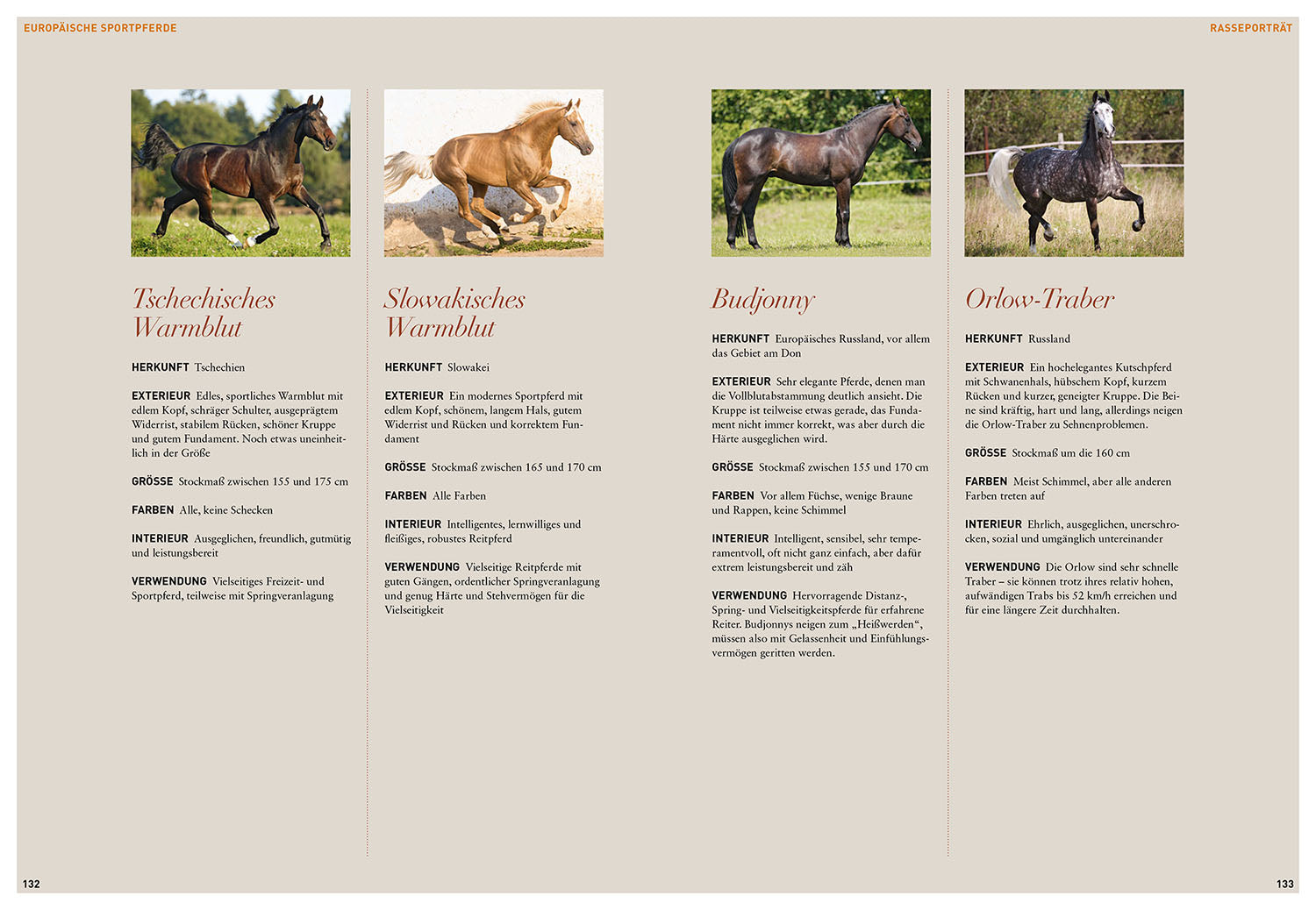 die-zauberkicker-pferderassen-bildband-pferde-reiter-geschenk image 5