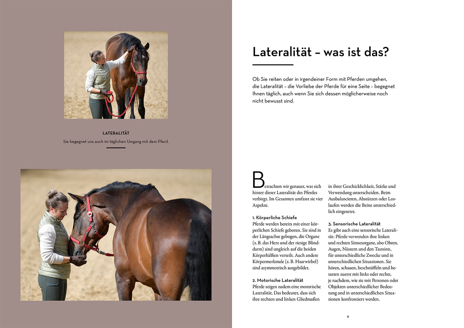 kosmos-lateralit-t-bei-pferden-buch-praxishandbuch-training image 3
