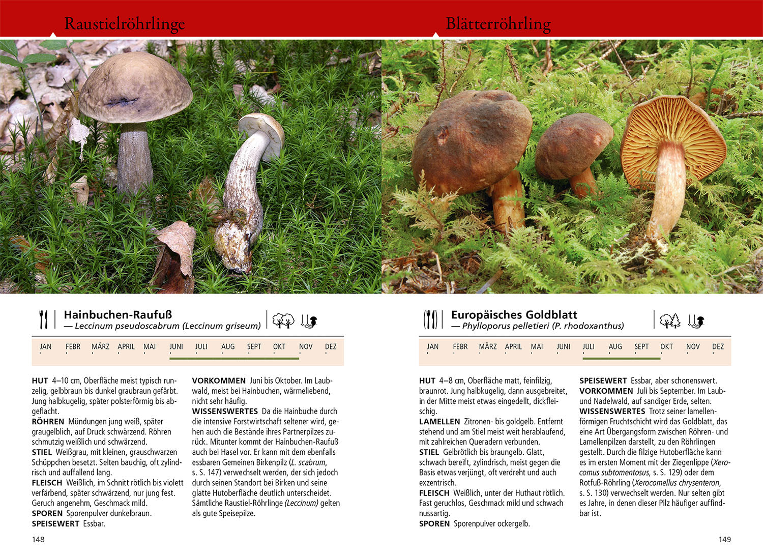 kosmos-welcher-pilz-ist-das-pilzbuch-bestimmungsschl-ssel-farbfotos image 5