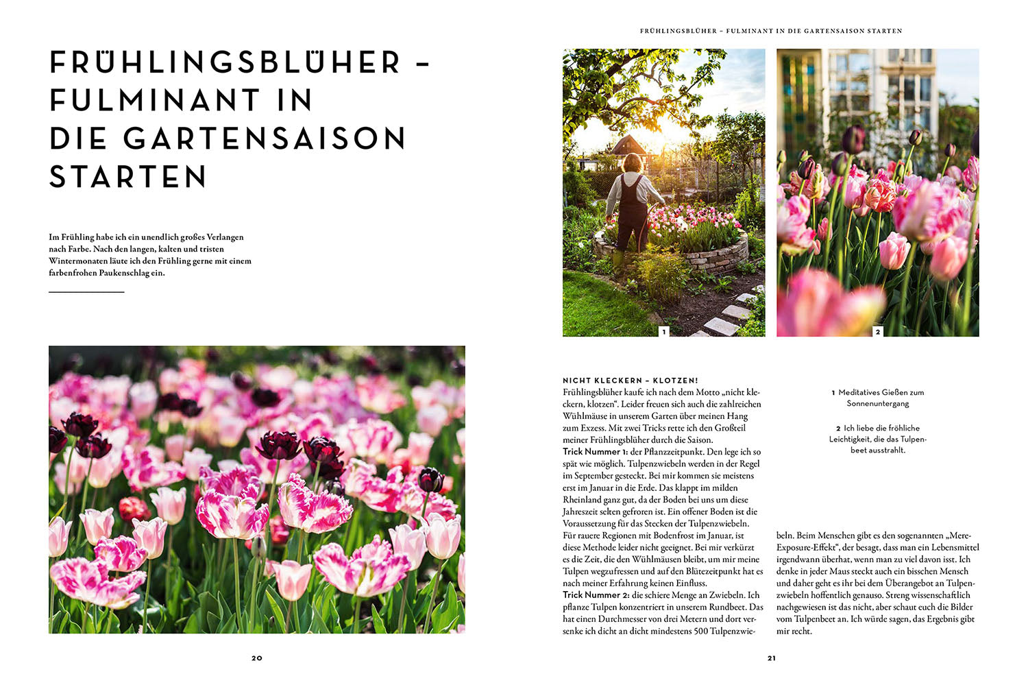 anja-klein-blumen-kohl-rock-n-roll-gartenbuch-horrorgarten image 3