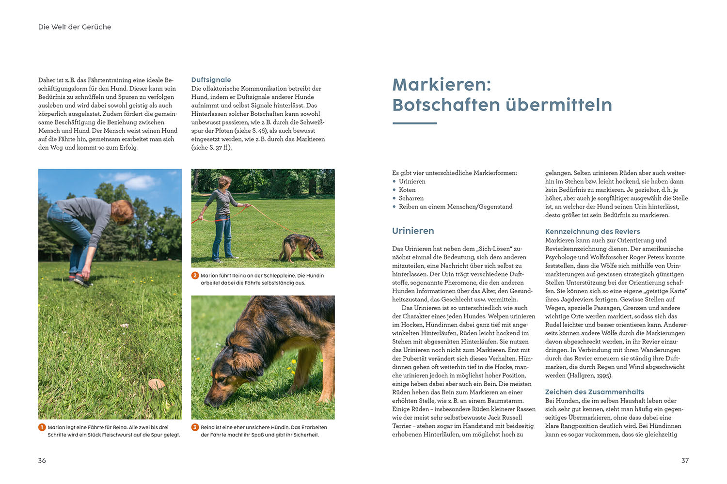 kosmos-sprachkurs-hund-mit-martin-r-tter-ratgeber-hundeverhalten image 4