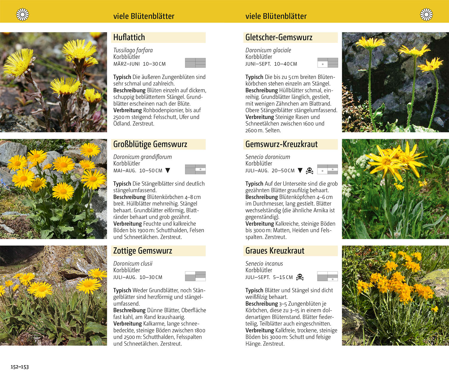 kosmos-blumen-der-alpen-bestimmungsbuch-500-arten image 5