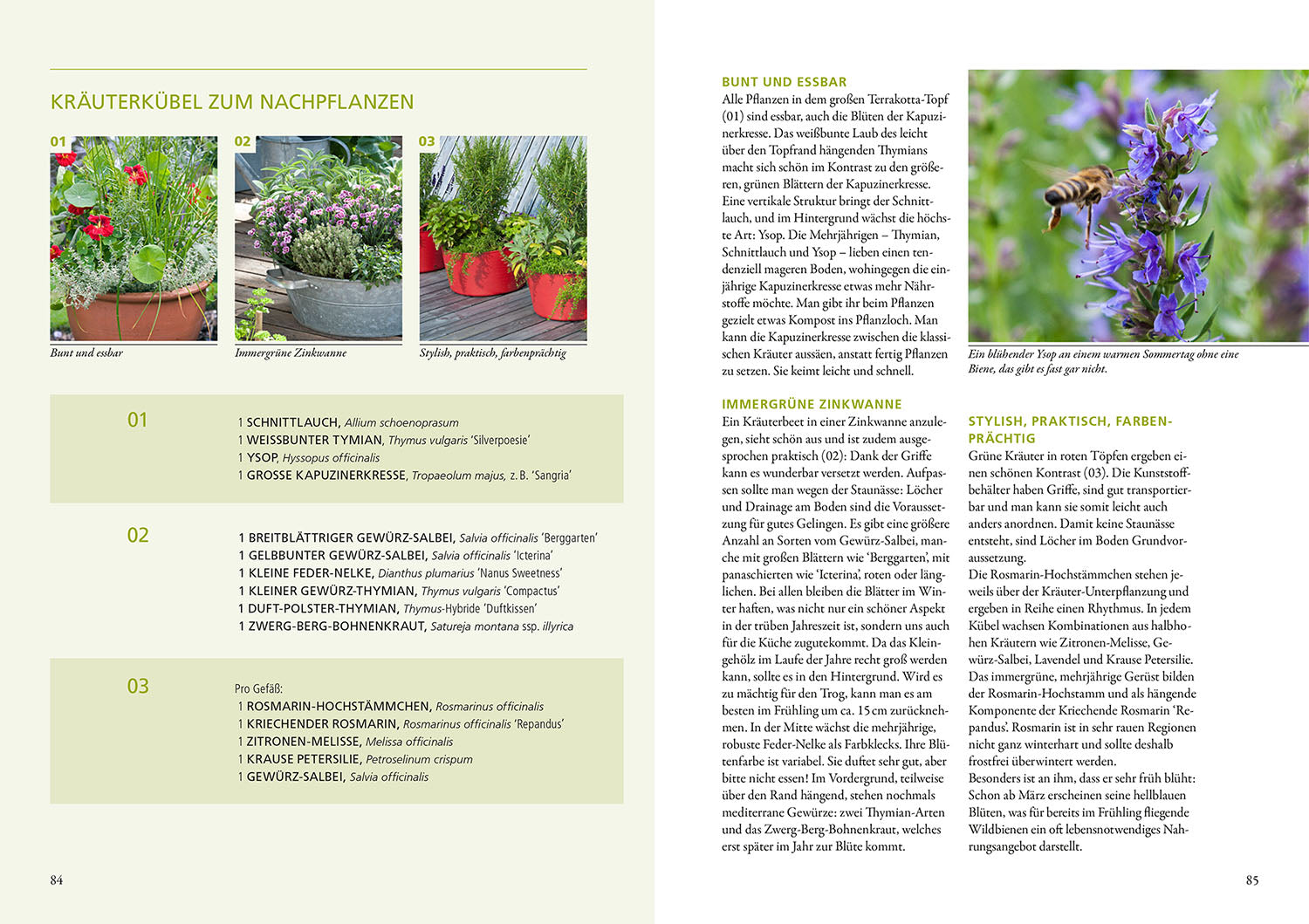 kosmos-wilde-k-bel-gartenbuch-balkon-von-simone-kern image 5