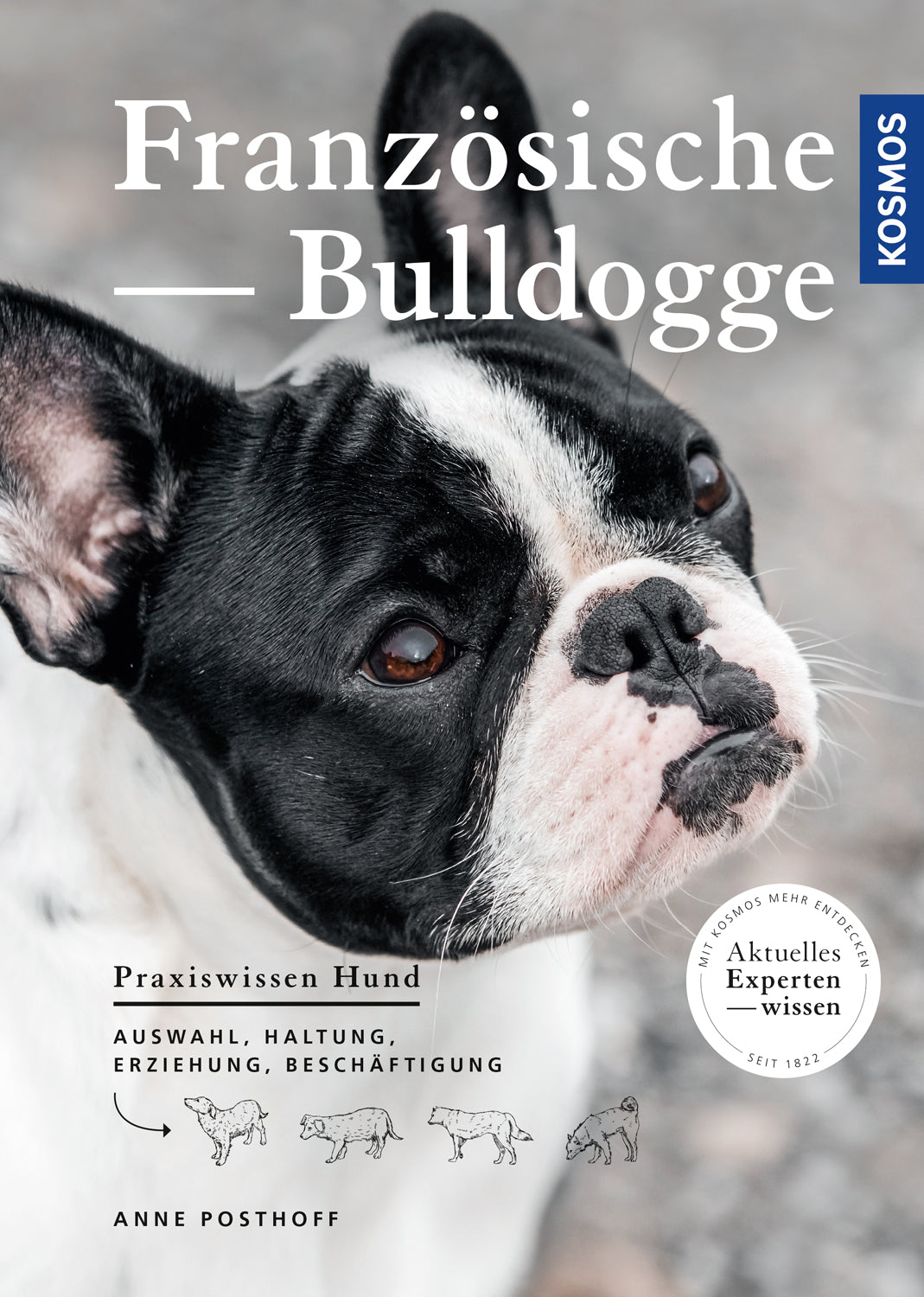 kosmos-franz-sische-bulldogge-e-book-hunderatgeber image 1