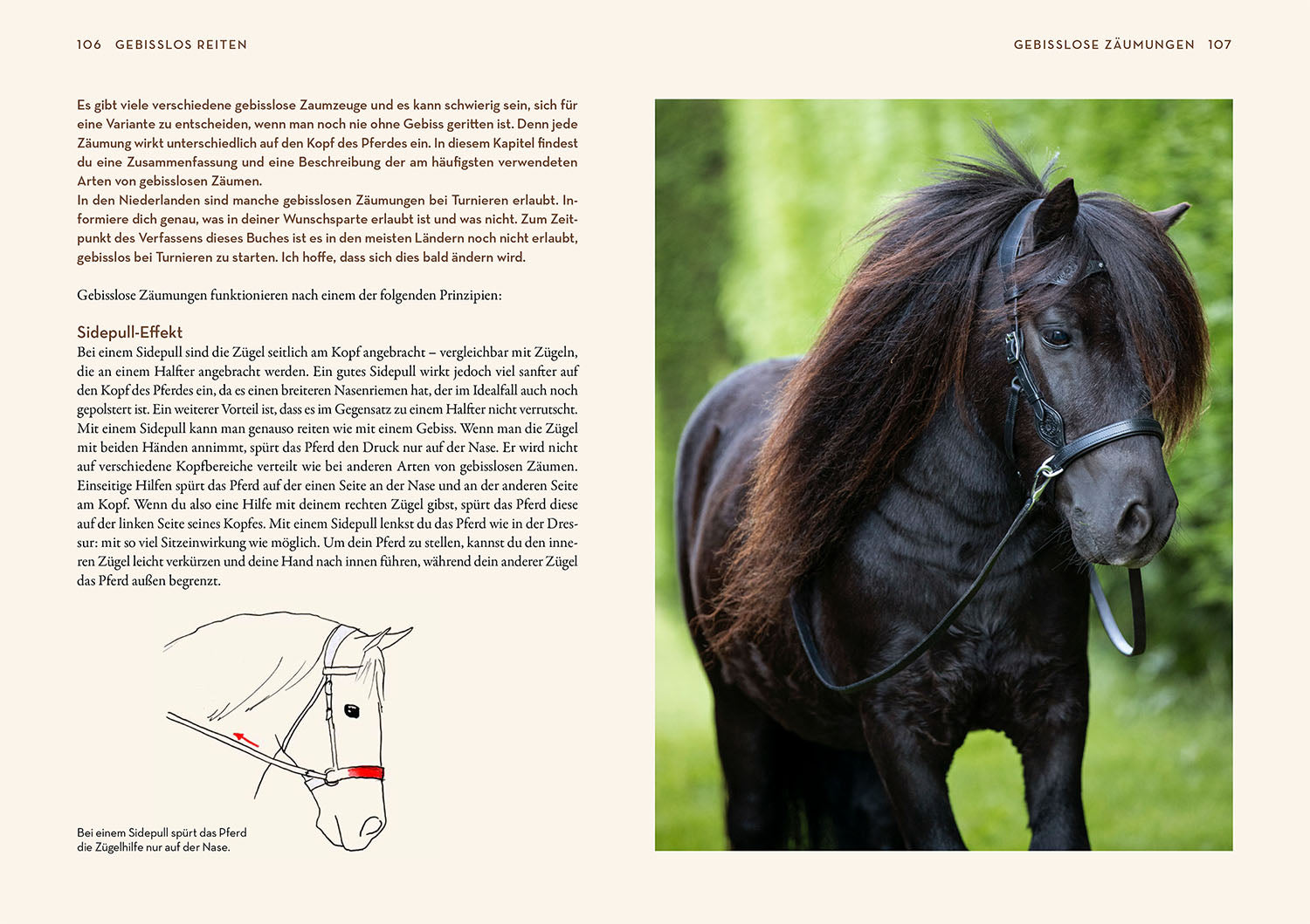 gebisslos-reiten-jesse-drent-pferdebuch-z-umungen image 5