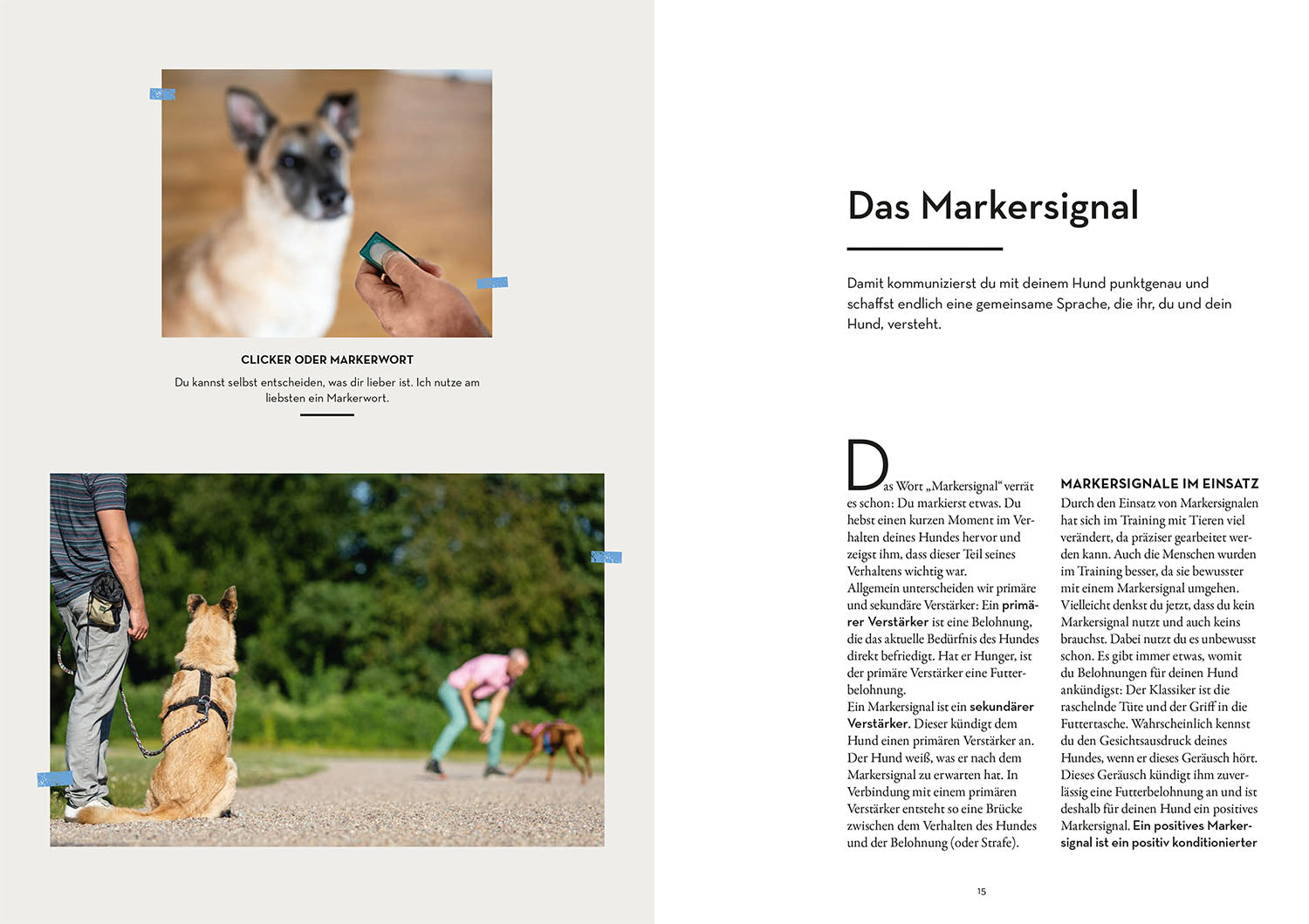 kosmos-marker-training-f-r-hunde-ratgeber-buch image 3