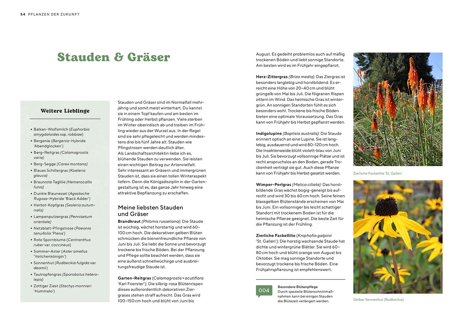 hitzek-nstler-gartenbuch-klimafit-ziergarten-ratgeber image 5