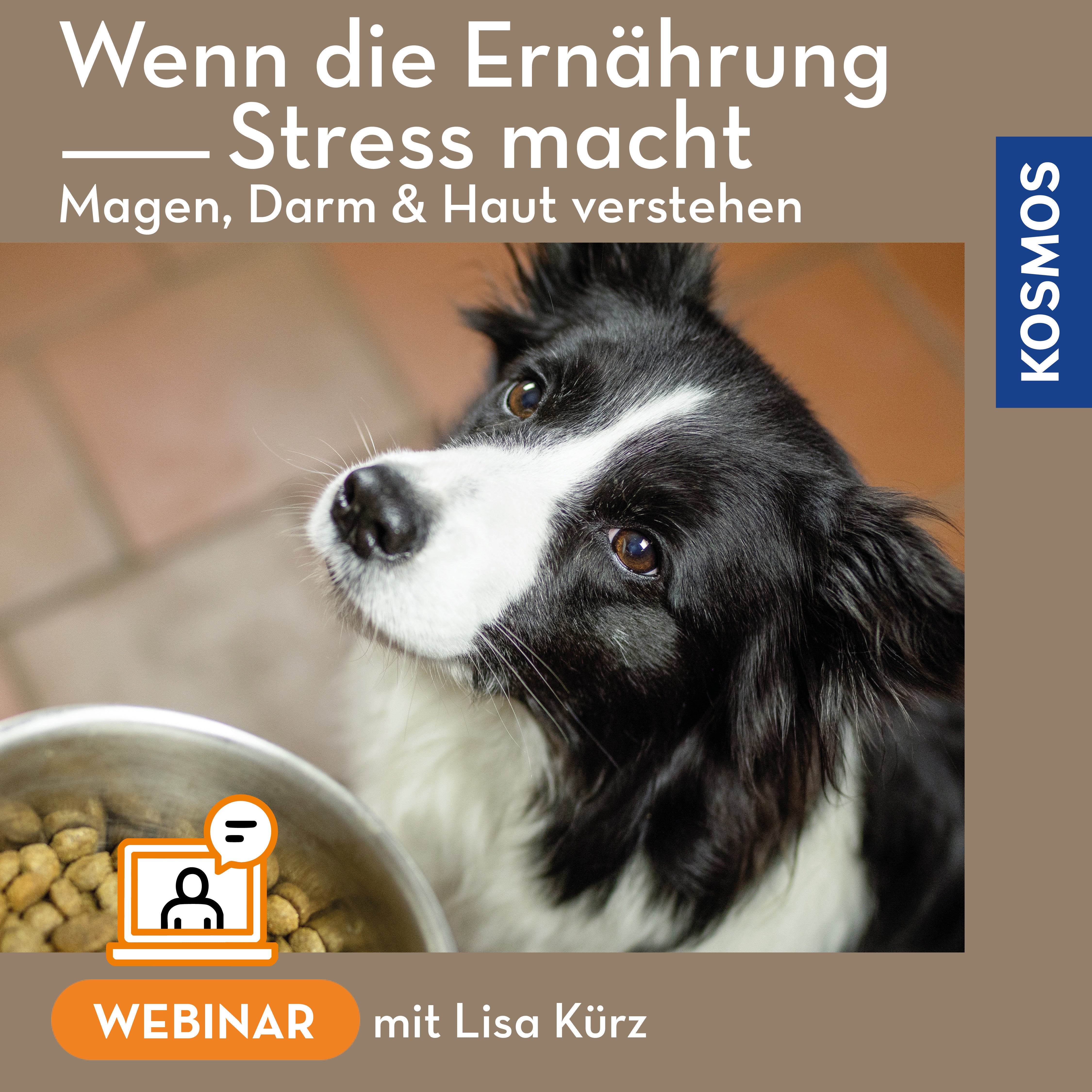 kosmos-digital-hund-ern-hrung-webinar-live-webinar-magen-darm-haut image 1
