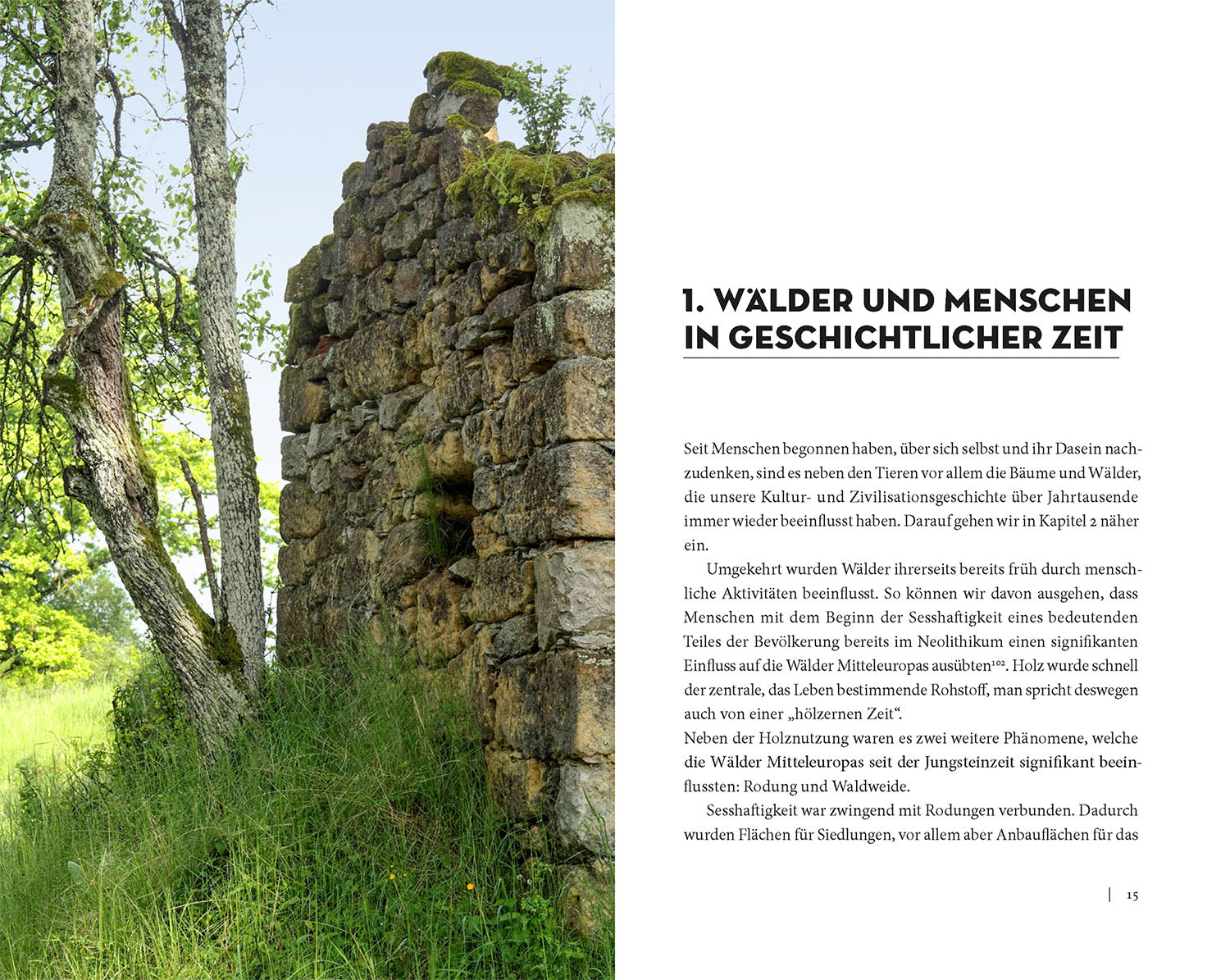 kosmos-die-sache-mit-dem-wald-buch-waldschutz-nachhaltigkeit image 3