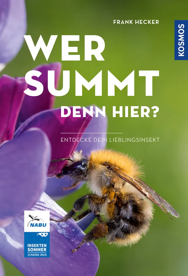 kosmos-wer-summt-denn-hier-insekten-bestimmungsbuch-76-arten image 1