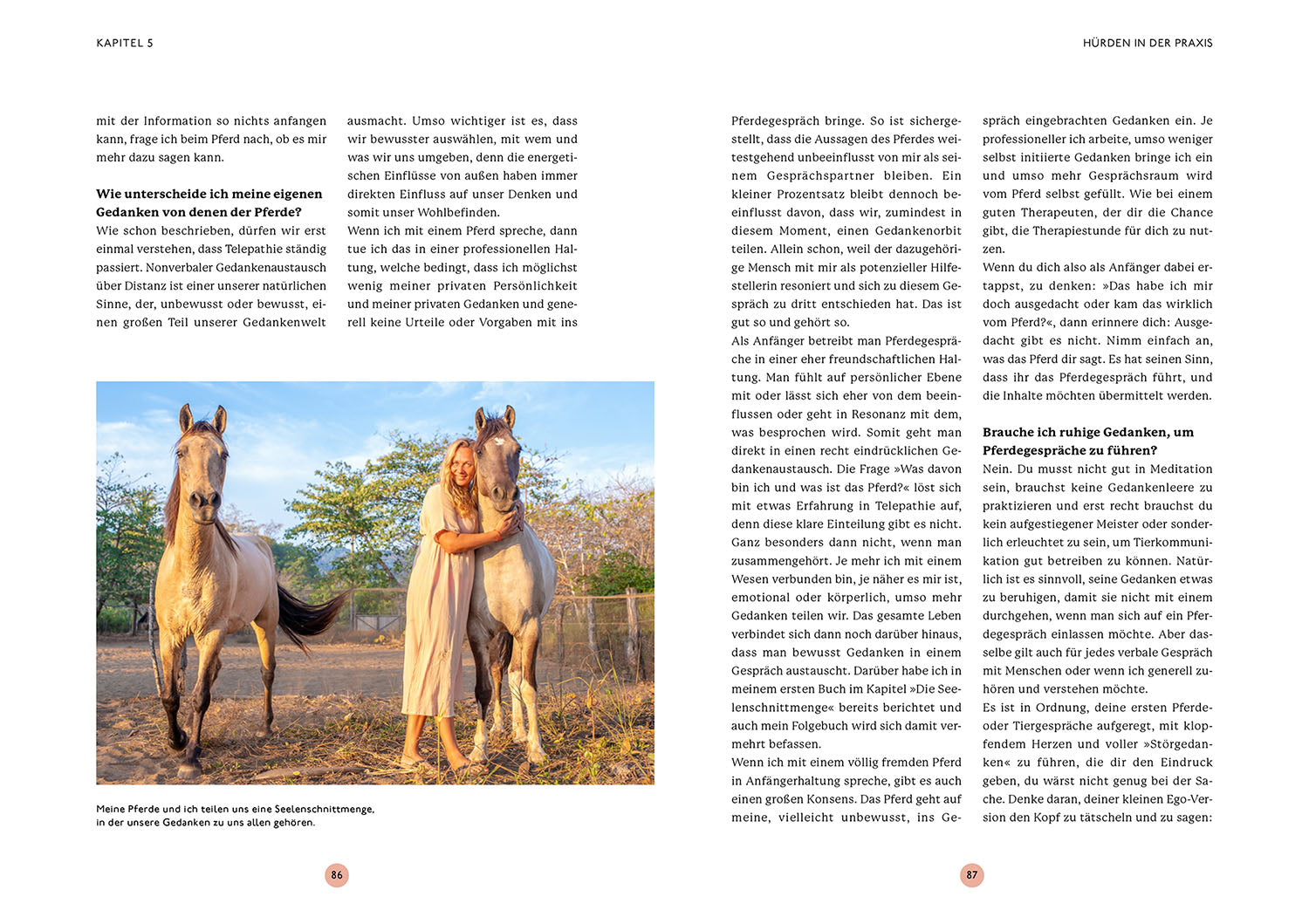 die-zauberkicker-gespr-che-mit-deinem-pferd-buch-tierkommunikation image 6