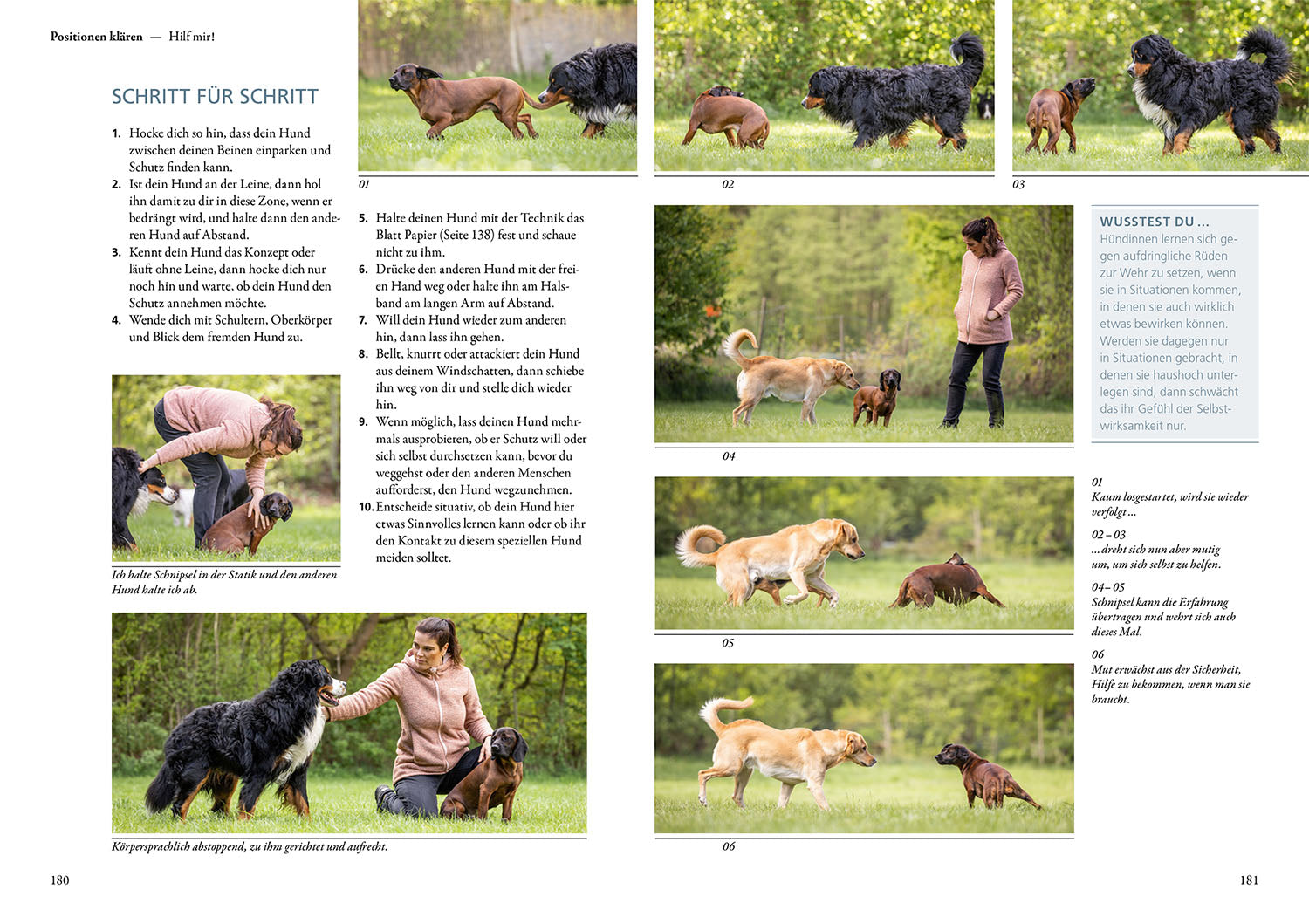 kosmos-hunde-f-hlen-und-anleiten-buch-maren-grote-kontakt image 6
