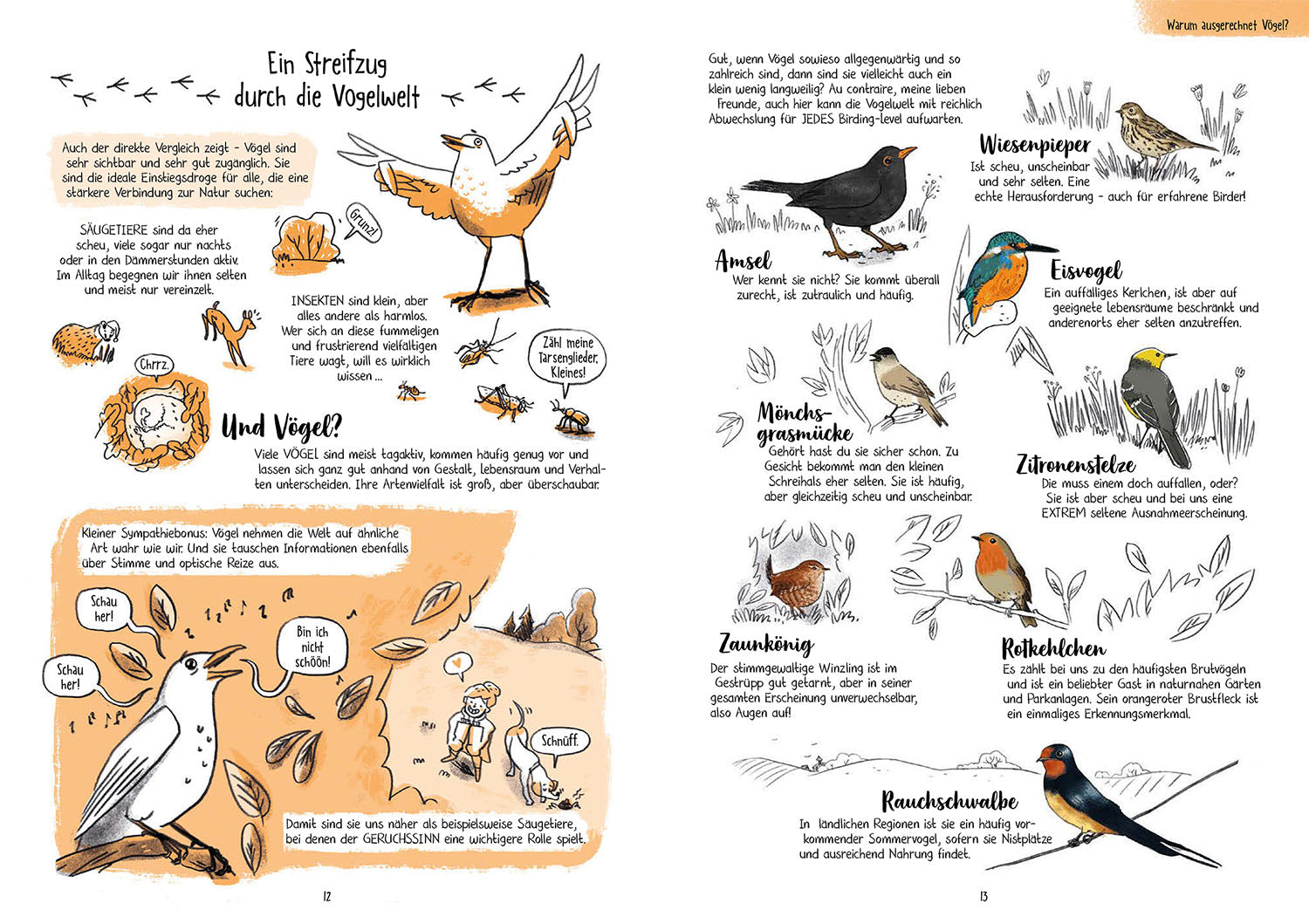 kosmos-birding-f-r-ahnungslose-ratgeber-v-gel-beobachten image 3