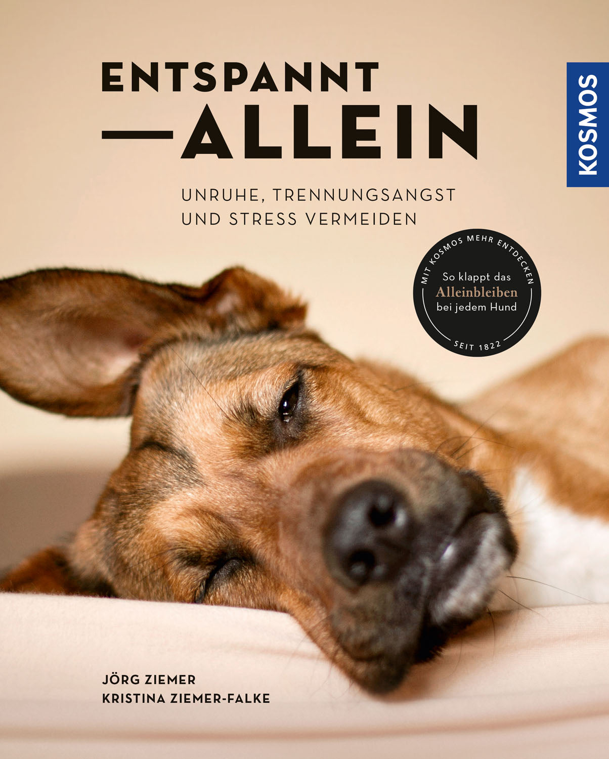 entspannt-allein-hund-ratgeber-ebook-trennungsangst-training image 1