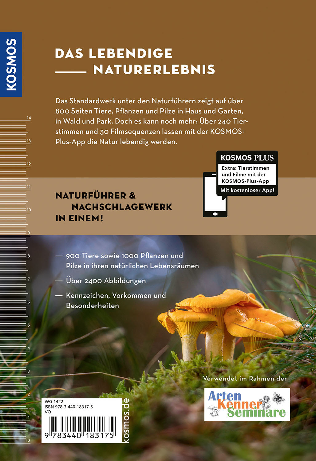 kosmos-der-gro-e-naturf-hrer-tiere-und-pflanzen-buch-900-tiere image 2