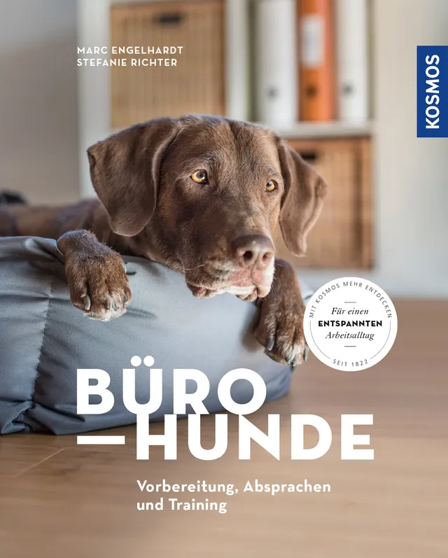 b-rohunde-hund-mit-zur-arbeit-ebook-ratgeber image 1
